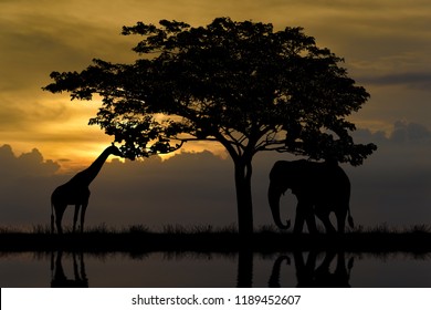 Giraffe and elephant standing under the tree in the meadow