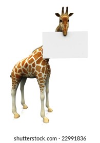 A giraffe holding a blank sign in its mouth.