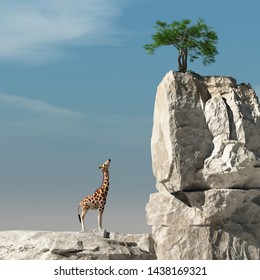 Giraffe looks up to a tree on a rock. The concept of accomplishment. This is a 3d render illustration