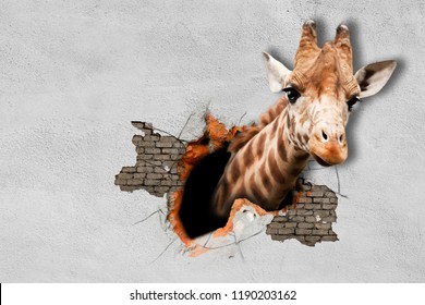 3d Wallpaper Download Animals Image Num 60