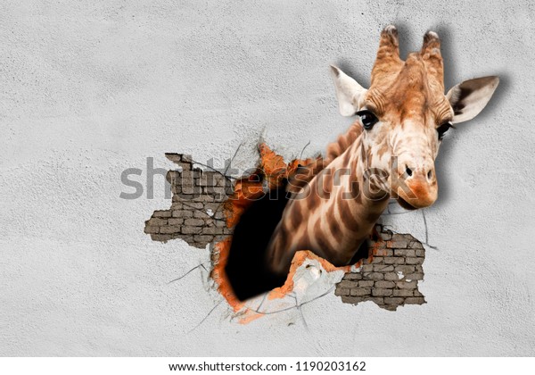 The giraffe pokes his head out of the wall. 3d rendering.