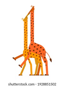 Giraffe sex. Love Giraffes intercourse. Animal reproduction. Africa beast Long neck 