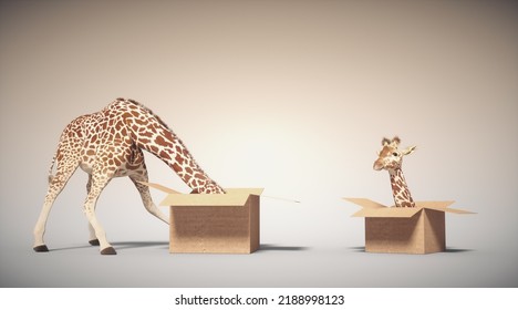 Giraffe Sticks Head Into A Box And Comes Out Of Another. Curiosity And Creative Concept. This Is A 3d Render Illustration