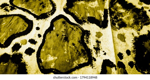 Giraffe Texture Pattern. Grey Cow Skin Print. Close Animal Skin. Black Giraffe Safari. Head Cow. Gold Dalmation Drawing. Brown Paint Spot.