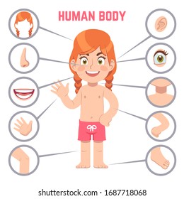 Girl body parts. Human child with eye, nose and chest, head. Knee, legs and arms, ear cartoon preschool education kid anatomy illustration