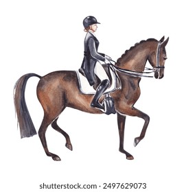 The girl is a horsewoman, equestrian. Sports, competition, hand-drawn watercolor illustration. - Powered by Shutterstock