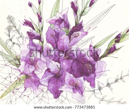 Gladiolus flower. Watercolor illustration. Hand drawing sketch.