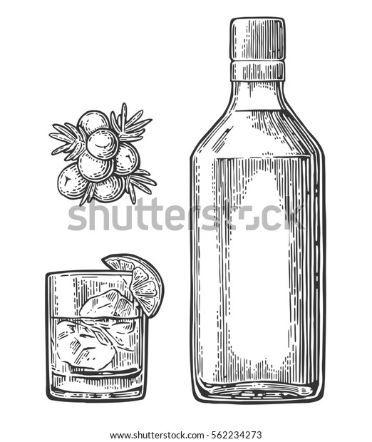 ジンのガラス瓶とベリーのジュニパーの枝 ラベル ポスター ウェブ パーティーへの招待用のビンテージ彫刻イラスト 白い背景に分離型 のイラスト素材