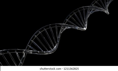 Glass DNA Molecule Spiral, Black Background - 3d Illustration