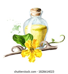 Glass of essential extract of Cats claw or Uncaria tomentosa, stem and flower. Watercolor hand drawn illustration, isolated on white background