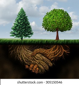 Global Agreement Shaking Hands Concept As Two Different Trees From Diverse Regions Showing Underground Roots Coming Together In A Handshake As A Symbol Of International Cooperation And Making A Deal.