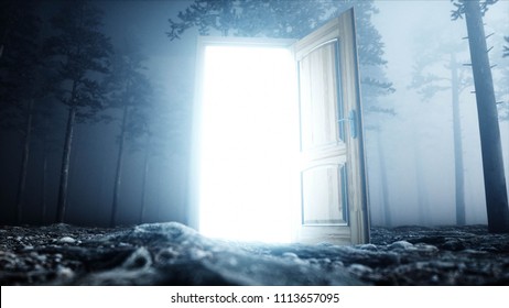 Glowing Door In Fog Night Forest. Light Portal. Mistic And Magic Concept. 3d Rendering.