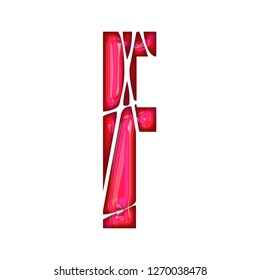 Glowing Neon Pink Letter F In A 3D Illustration With A Shiny Glass Bright Pink Neon Tube Style In A Broken Shattered Font Style Isolated On A White Background