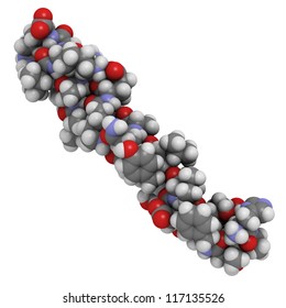 Glucagon-like Peptide 1 (GLP-1) Molecule. GLP-1 Is Being Investigated For The Treatment Of Diabetes Mellitus.