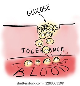 Glucose Tolerance Test