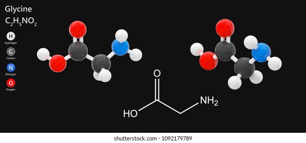 Glycine Molecular Formula C2h5no2 Found Primarily Stock Illustration ...