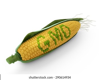 GMO Corn  -agricultural Genetics Research