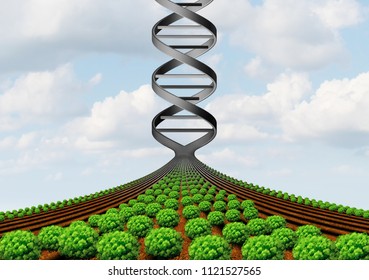 GMO Farming And Agricultural Genetics And Genetically Modified Crops Or Growing Food Biotechnology Science And Farm Yield Technology With 3D Illustration.