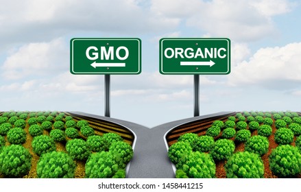 GMO And Organic Farming Agricultural Bio Concept As A Genetically Modified Eco Food Crops And Natural Growing Plants With 3D Illustration Elements.