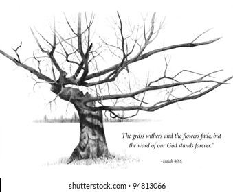 Gnarly Ancient Tree in Pencil, With Bible Verse
