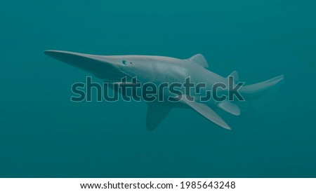 Goblin Shark, Deep Sea, 3D Rendering Stock photo © 