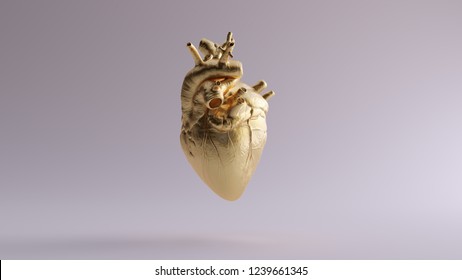 Gold Anatomical Heart 3d Illustration 3d Render