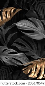 Gold And Black Monstera Deliciosa Leaves