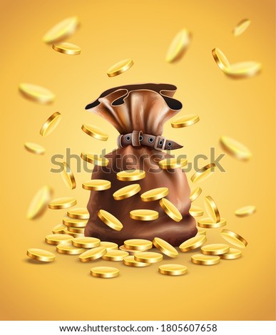 Gold coins falling down and full sack, gradient mesh used. 3D illustration.