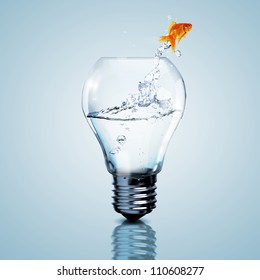 Gold Fish In Water Inside An Electric Light Bulb