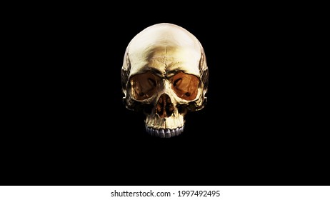 Gold Human Female Skull With Silver Teeth and Black Background Medical Anatomical 3d illustration render