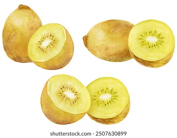  Gold kiwi clip art set isolated on white background. Watercolor illustration of fresh fruit. - Powered by Shutterstock