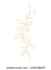 Gold Line Botanical Illustration Of Branch 