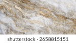 Gold marble high resolution pattern with white inclusions. Abstract texture and background. 2D illustration