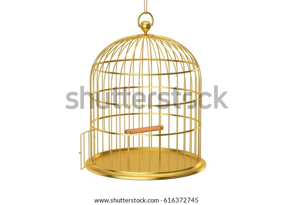 Golden Bird Cage Open Door 3d Stock Illustration 616372745 | Shutterstock