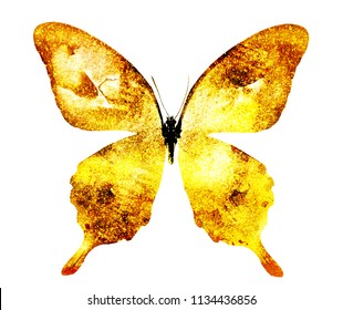 Gold Butterflies Images Stock Photos Vectors Shutterstock