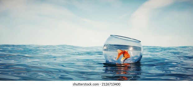 Golden fish in bowl floating sea  Stand out from the crowd   start up idea  This is 3d render illustration