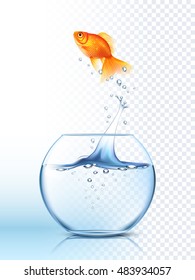 Poisson Rouge Bocal Images Stock Photos Vectors Shutterstock