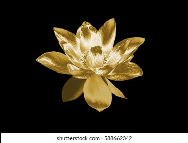 Golden Flower Images Stock Photos Vectors Shutterstock