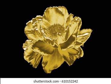 188,820 Red and golden flowers Images, Stock Photos & Vectors