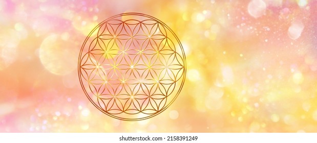 Golden flower of life in a sparkling field of abtract lights, symbolizing the beginning of something perfect, new 