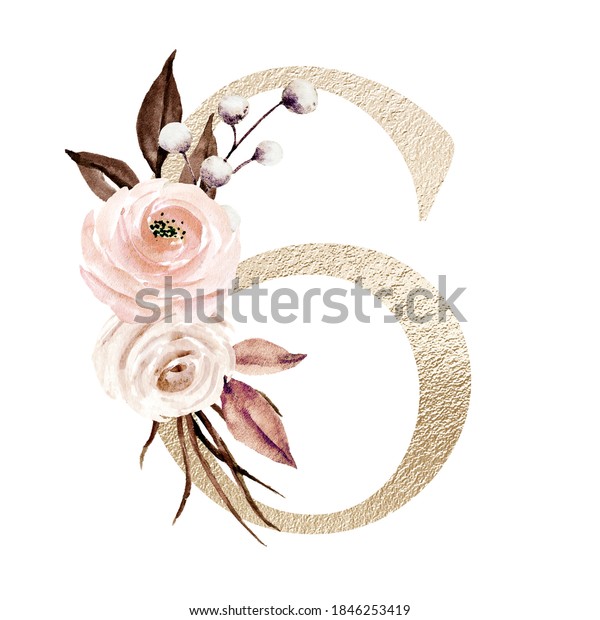 Golden Number 6 Watercolor Flowers Roses Stock Illustration 1846253419 ...