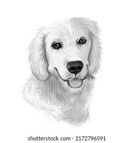 16,472 Dog Digital Art Images, Stock Photos & Vectors | Shutterstock