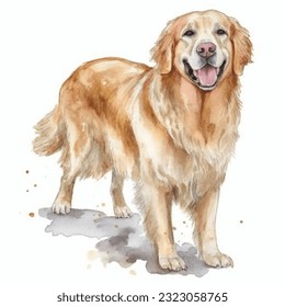 GOLDEN RETRIEVER watercolor portrait painting illustrated dog puppy isolated on transparent white background - Powered by Shutterstock