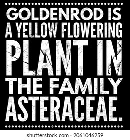 Goldenrod Is A Yellow Flowering Plant In The Family Asteroid. Wisdom Quotes.