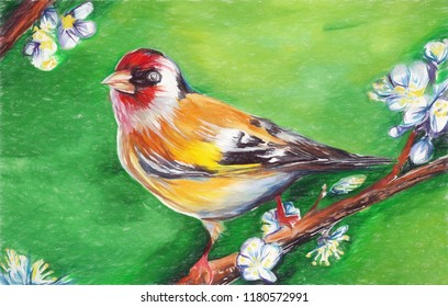 Goldfinch Water Color Drawing Stock Illustration 1180572991