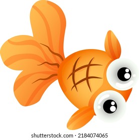 Goldfish Are A Hardy Aquatic Species