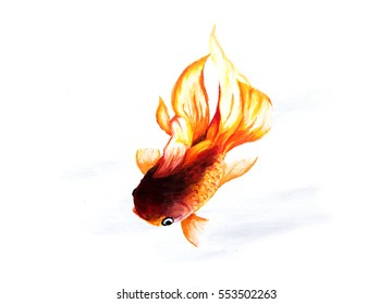 和風 金魚 の画像 写真素材 ベクター画像 Shutterstock