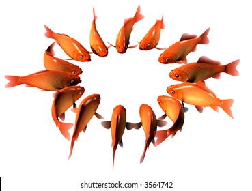 Goldfish in Ring