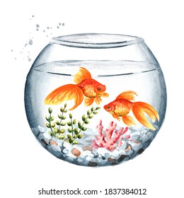 金魚 水彩 イラスト の画像 写真素材 ベクター画像 Shutterstock