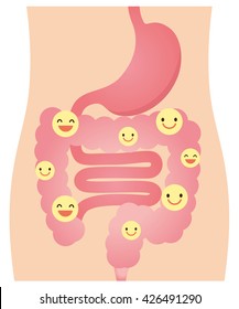 Good Bacteria Of Intestine Of Human Body